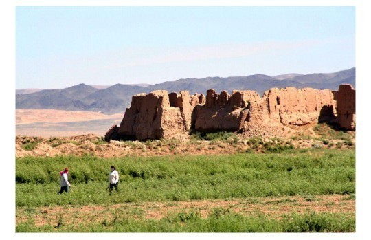 Qo'yqirilgan qal'a