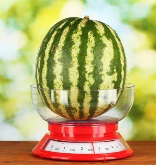 Og'irligi va hajmi bo'yicha