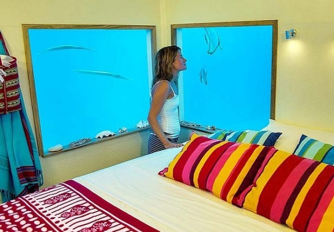 Bu mehmonhonadagi yotoqhona suv ostida joylashgan.