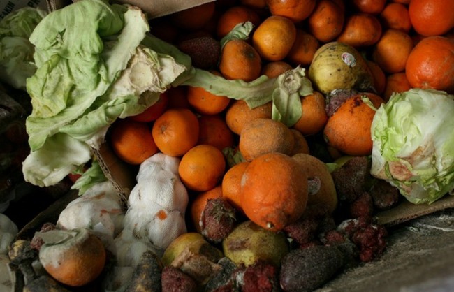 9. Oziq-ovqat buzilishi