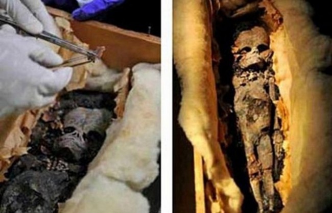 5. O’zga sayoralik mumiyo