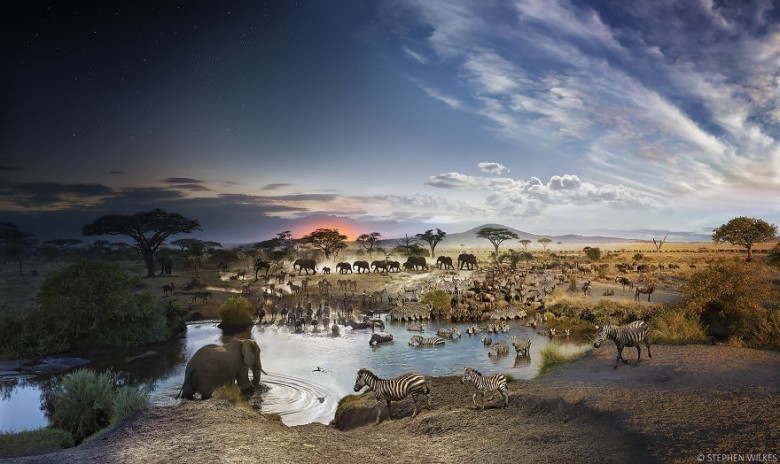 1. Tanzaniya, Serengeti milliy bog'i