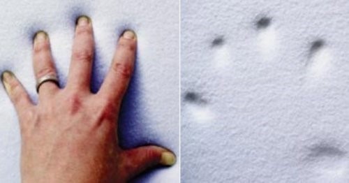 6. Memory ko’pigi (past elastiklik darajali modifikatsiyalangan ko’pikli poliuretan)