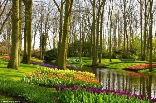 Kyokenxof gul parki (Niderlandiya)