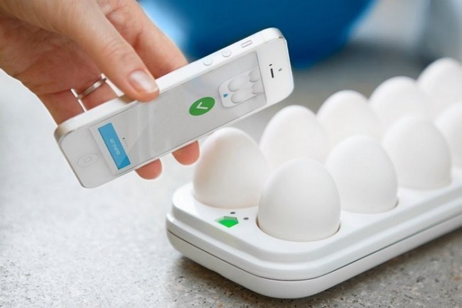 Tuxumlarni tekshirish