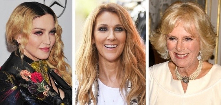 Selin Dion, Madonna va Kamilla Parker