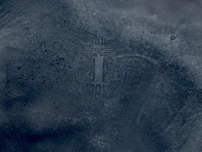 Bahaybat o’zga sayyoralik mushuk