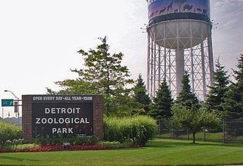 14. Detroit zooparki (Detroit Zoo)