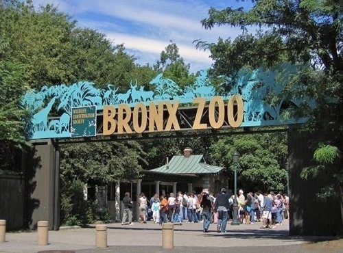 9. Bronks zooparki (The Bronx Zoo)