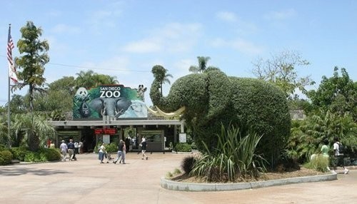 2. San-Diego zooparki (San Diego Zoo)
