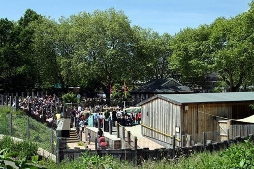 1. London zooparki (London Zoo)