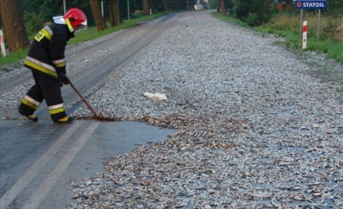 Baliq yomg’iri, Gonduras