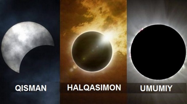 2. Qisman, halqasimon va umumiy