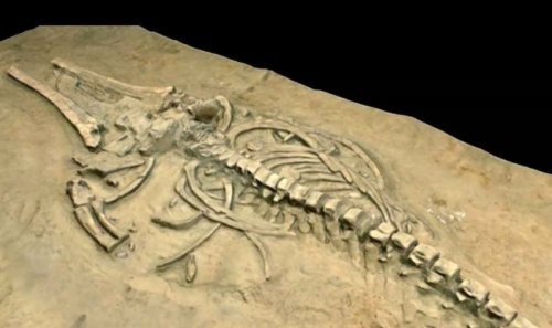 7. Chilidagi kitlar qabristoni