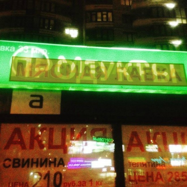 Tejash yo’lini izlaganda