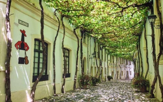 Ciecos v Jerez de la Frontera ko’chasi