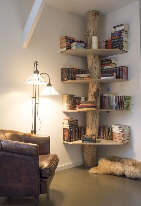 Daraxt tanasidan yasalgan javon