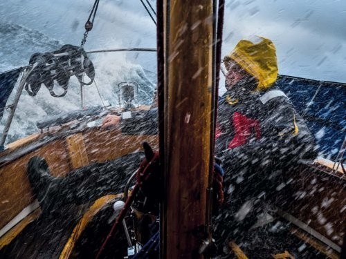 “Sarguzashtli hayot” kategoriyasi