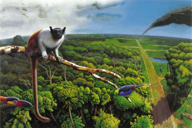 2. Biologik hilma-hillik