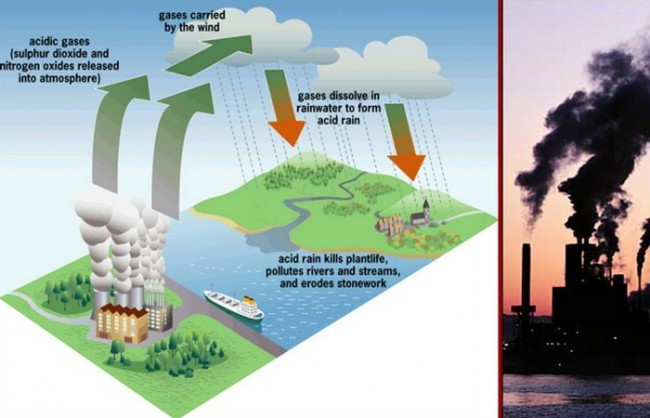 7. Yomg’irning tarkibi