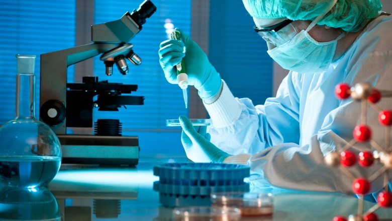 10. Laboratoriyada o’stirilgan organlar