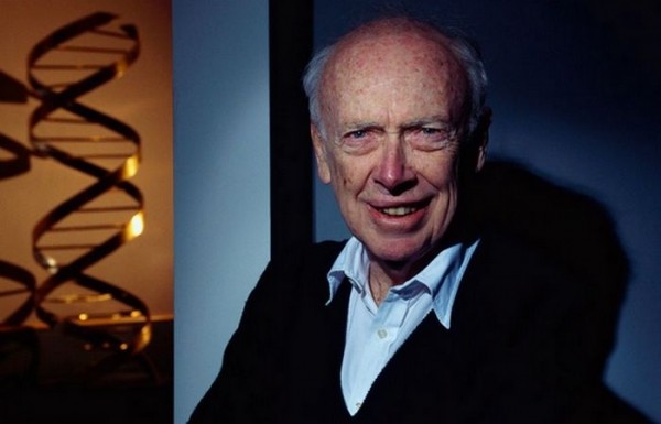 O’z egasiga qaytib kelgan Nobel mukofoti