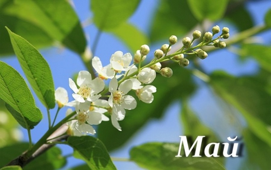 May
