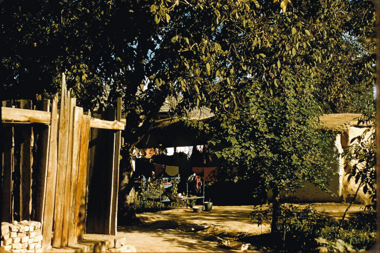 Toshkent hovlisi