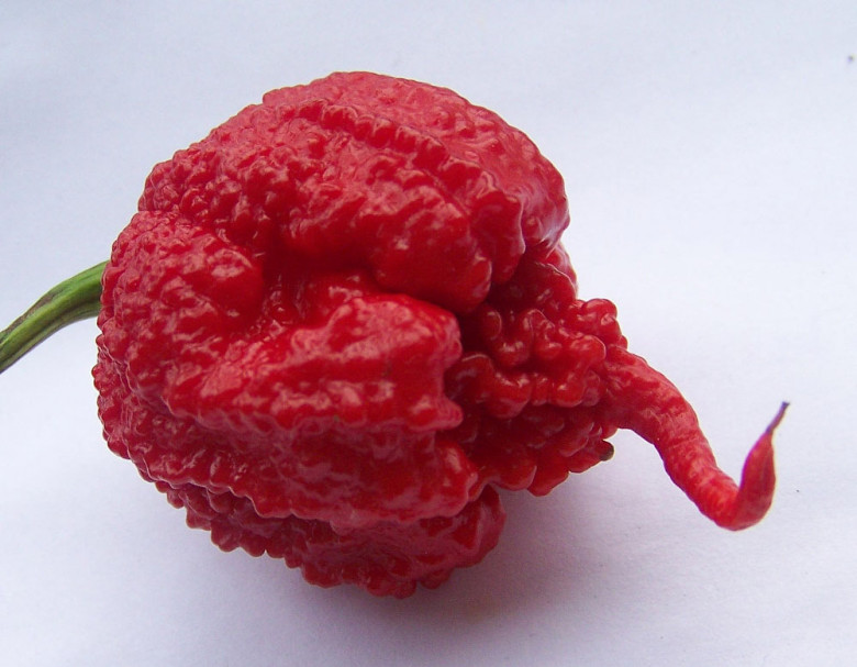 1-o’rin. Moruga Scorpion (2009 231 birlik)