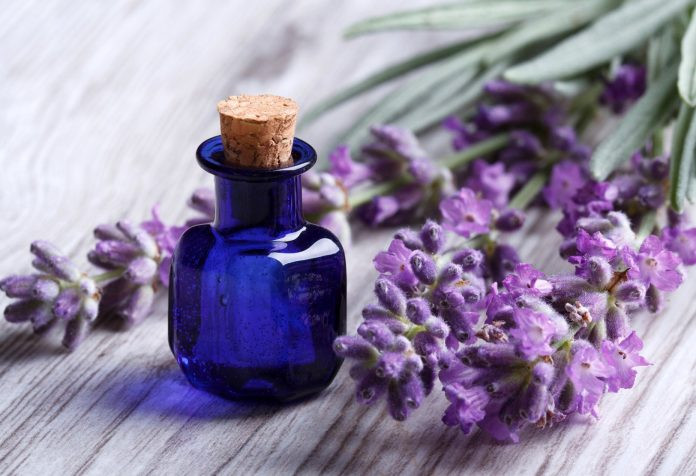 3.Lavanda