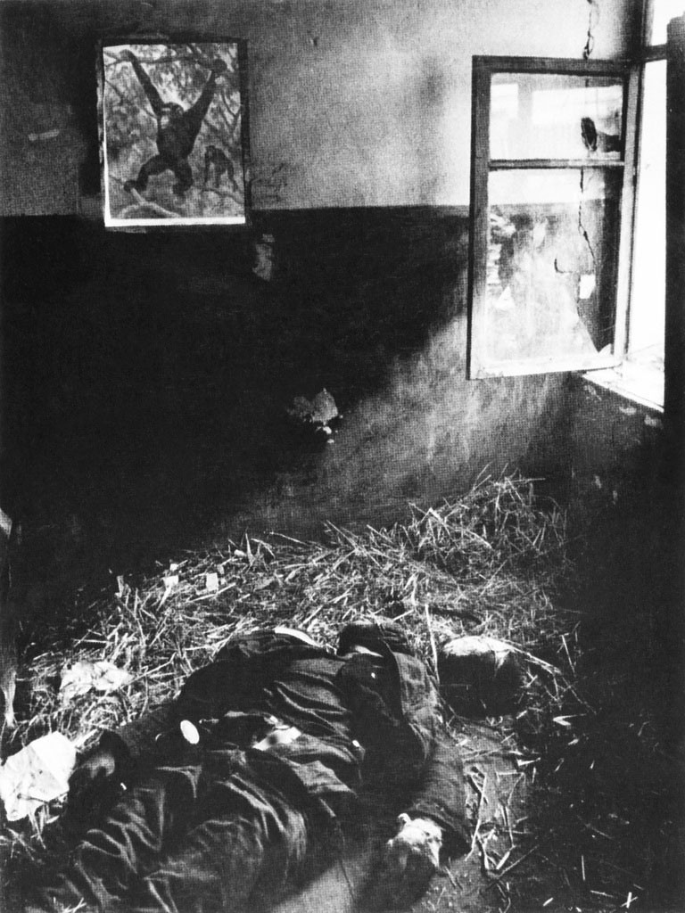 Qishloq maktabi, 1943 yil