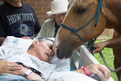 O'layotgan insonlarning Sizni yig'lashga majbur qiluvchi oxirgi istaklari