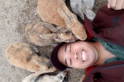 Quyonlar oroli: yuzlab mehmondo'st quyonlar yashaydigan yapon oroli 