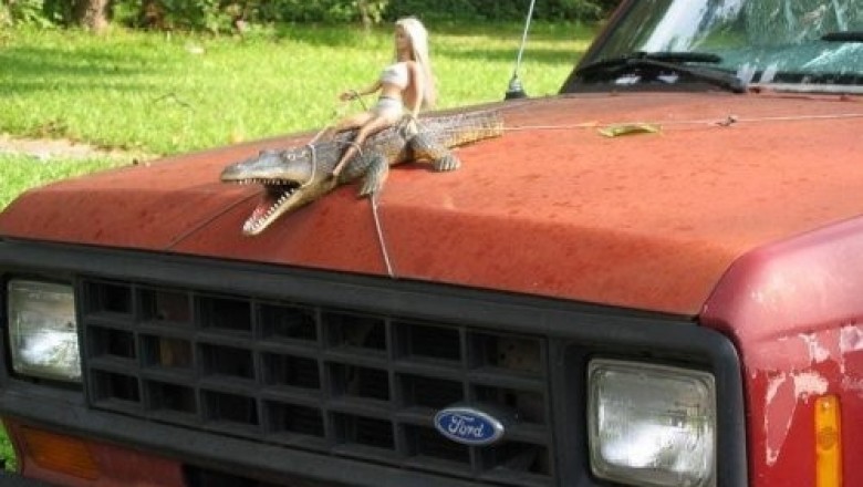 Bu avtomobillar egalari mashinalarini bezatmoxchi edi. Kulgili chiqi!