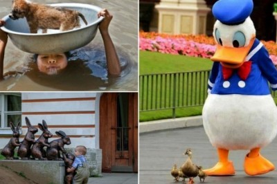 Sizlarni tabassum qilishga majburlaydigan va kayfiyatingizni kotaradigan 18 ajoyib va yoqimli sur'atlar