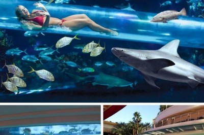 Hayotda bir marta bo'lsa ham suzishga arziydigan 12 ta hovuz