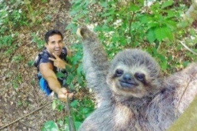 Hayvonlar bilan rasmga tushish qiziq albatta, lekin haqiqatdan ajoyib chiqgan fotosur'atlarni ko'rish yanada qiziqarli