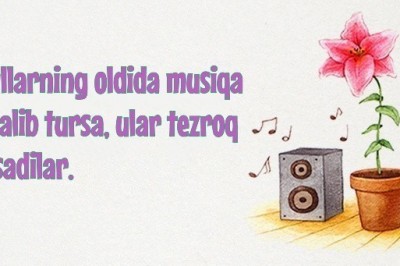 Chin haqiqat bo'lgan 20ta bema'ni faktlar