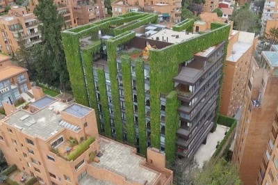 Bogotani yashil yuragi – zamonani eng katta osma bog’lari