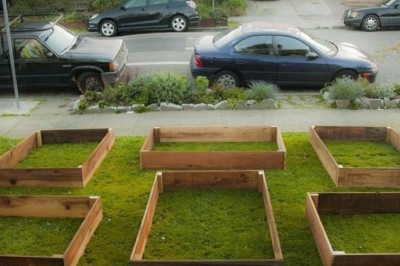 Bor yo'g'i 60 kun ichida bu yigit uyining qarshisida daxshat bog' o'stirdi