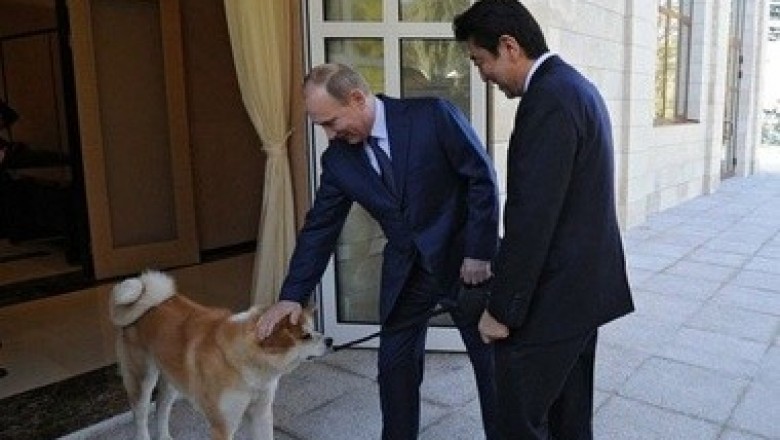 Putin haqida 13ta kam ma’lum bo’lgan faktlar