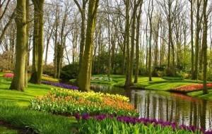 Dunyoning eng go’zal botanika bog’lari