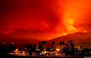 Yer olov iskanjasida: 2017 yildagi eng yirik o’rmon yong’inlari