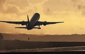 Top-25: Bortkuzatuvchilarning balkim, siz bilmay qolgan sirlari