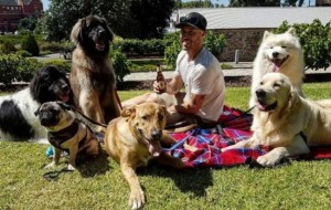 Bu yigit har kuni kuchuklarni qutqaradi. Shu kabi insonlar ko’proq bo’lsa edi!