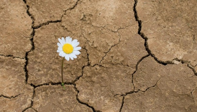 Tashnalik haqida 5 ta kutilmagan ma’lumot: biz bu haqiqatni unutib qo’ydik