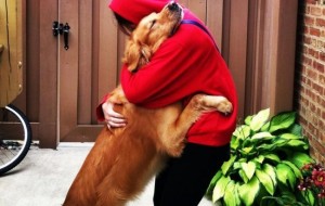 Qiziqarli fotolar: Kuchukcha quchoqlashish yoki kuchuklar ham quchoqlashishni yoqtirishi isboti