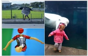 Xazil: Soniyalar to'xtangiz: eng kerakli bo'lgan onda qilingan 18 ta juda ham kulguli kadrlar