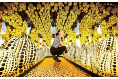 Qiziqarli ma'lumotlar: Top-10: Pand bergan selfilar. 