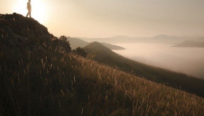 Qiziqarli fotolar: Tigirek qo’riqxonasiga bag’ishlangan yopiq ko’rgazmadan eksklyuziv fotosuratlar